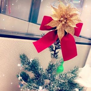 Meet your Posher, Adriana